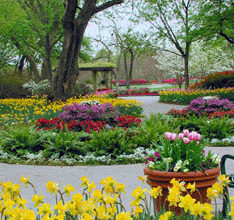Dallas Arboretum